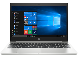 HP ProBook 455 G6 (6EB47EA)