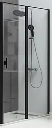 Душевая дверь Allen Brau Priority 3.31003.BBA