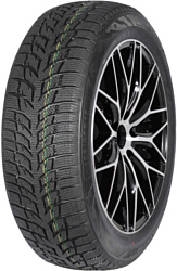 Autogreen Snow Chaser 2 AW08 195/65 R15 91T