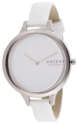 Axcent X14024-631