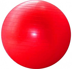 Леко Гимнастический 55 см (красный)