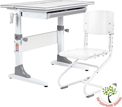 Anatomica Study-80 + стул + выдвижной ящик со стулом Ergo Chair белый/белый (белый/серый)
