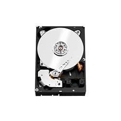 Western Digital Red Pro 10 TB (WD101KFBX)