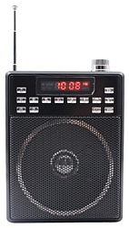 CAFINI CN-R1120FM