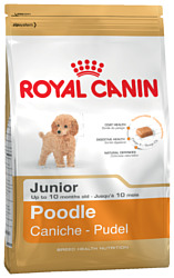 Royal Canin Poodle Junior (3 кг)