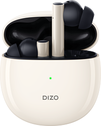 Dizo GoPods