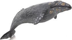 Konik Серый кит AMS3016