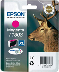 Epson C13T13034010