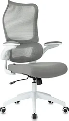 Кресло Бюрократ Sigma WH 1 (серый) Кресло Бюрократ Sigma WH 1 (серый)