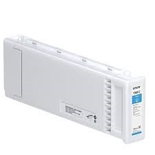 Epson C13T891200