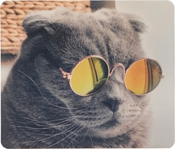 Коврики для мыши Gembird MP-ART39 Коврики для мыши Gembird MP-ART39