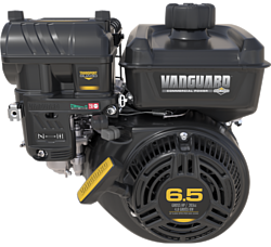 Briggs&Stratton Vanguard 200