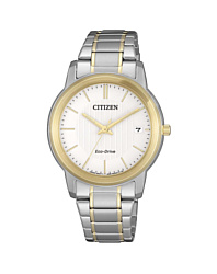 Citizen FE6016-88A