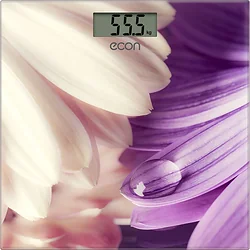 Напольные весы ECON ECO-BS009