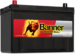 Banner Power Bull P95 05 (95Ah)