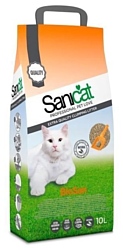 Sanicat Biosan 10л