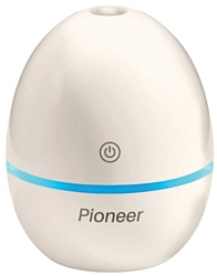 Pioneer HDU3