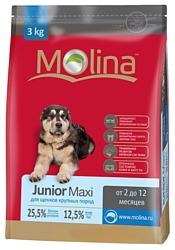 Molina Junior Maxi (3 кг)