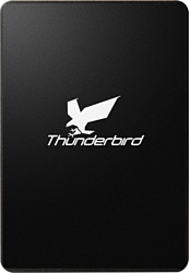 Apacer Thunderbird AST680S 64GB (AP64GAST680S)