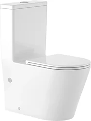 Унитаз Saniteco KW-T005A-R Унитаз Saniteco KW-T005A-R