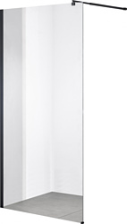 Saniteco Walk-In SN-W6TB100 (100x200, прозрачное стекло, черный профиль)