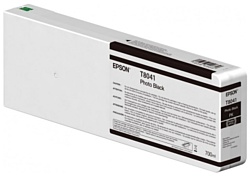 Epson C13T804100