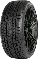 Gripmax SureGrip Pro Winter 275/35 R20 102V