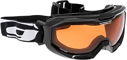 Goggle H851