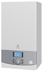 Electrolux GCB 24 Hi-Tech Fi