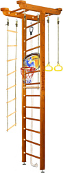 Kampfer Big Sport Ceiling Basketball Shield (3 м, классический)