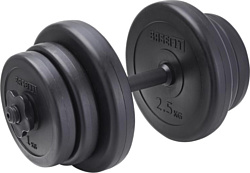 BaseFit DB-717 10 кг