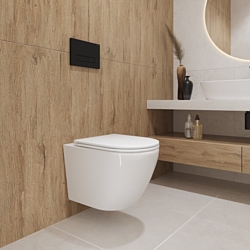 Унитаз Lauter Vortex 2110830VP