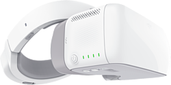 DJI Goggles