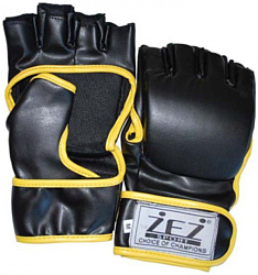 Zez MMA-CN