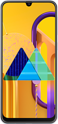 Samsung Galaxy M30s 4/64GB SM-M307FN/DS