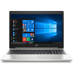 HP ProBook 455 G7 (1F3M8EA)
