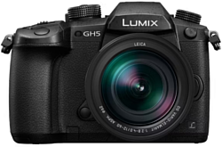 Panasonic Lumix DC-GH5L Kit