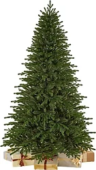 Новогодняя елка Max Christmas Премиум Орловская ЕОРС 25 (2.5м, подставка металл) Новогодняя елка Max Christmas Премиум Орловская ЕОРС 25 (2.5м, подставка металл)