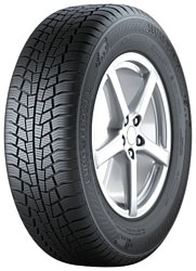 Gislaved Euro*Frost 6 225/45 R17 91H