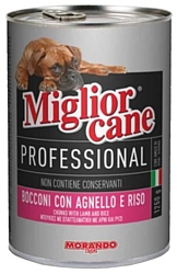 Miglior Cane Professional Line Lamb and Rice