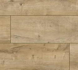 Arteo 8 XL 4V WR WR 54807 Дуб Коннемара