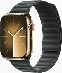 Умные часы Apple Watch Series 9 45 мм (стальной корпус, замшевый ремешок)