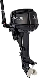 Лодочный мотор Parsun T 8 BMS
