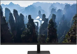 Монитор DEXP DQ32N1