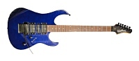 Washburn WG580