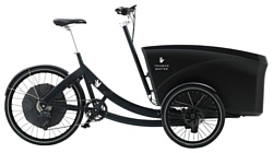 Triobike Boxter E