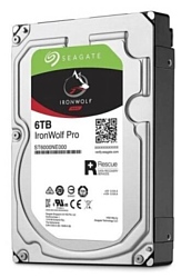 Seagate IronWolf 6 TB ST6000NE000