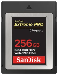 Карта памяти SanDisk SDCFE-256G-GN4NN Карта памяти SanDisk SDCFE-256G-GN4NN