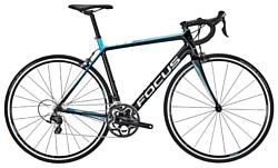 Focus Cayo Ultegra M (2017)