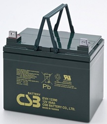 CSB EVH 12390